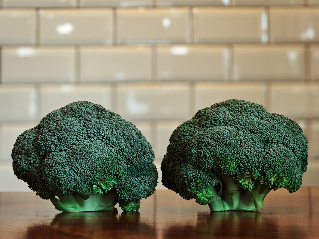 Balanced nutrition editorial focus